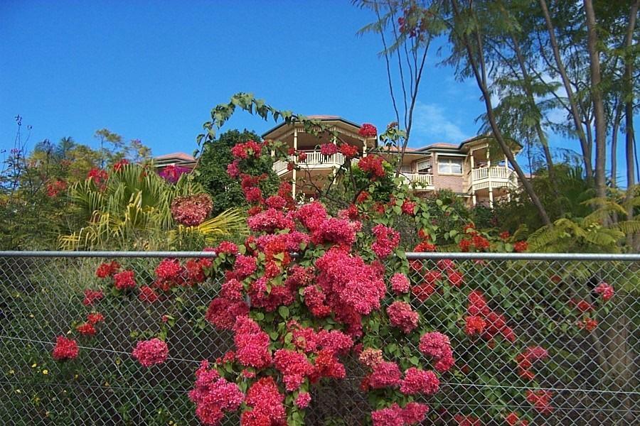 Апартаменты Tranquil Garden Hideaway Ormeau Экстерьер фото